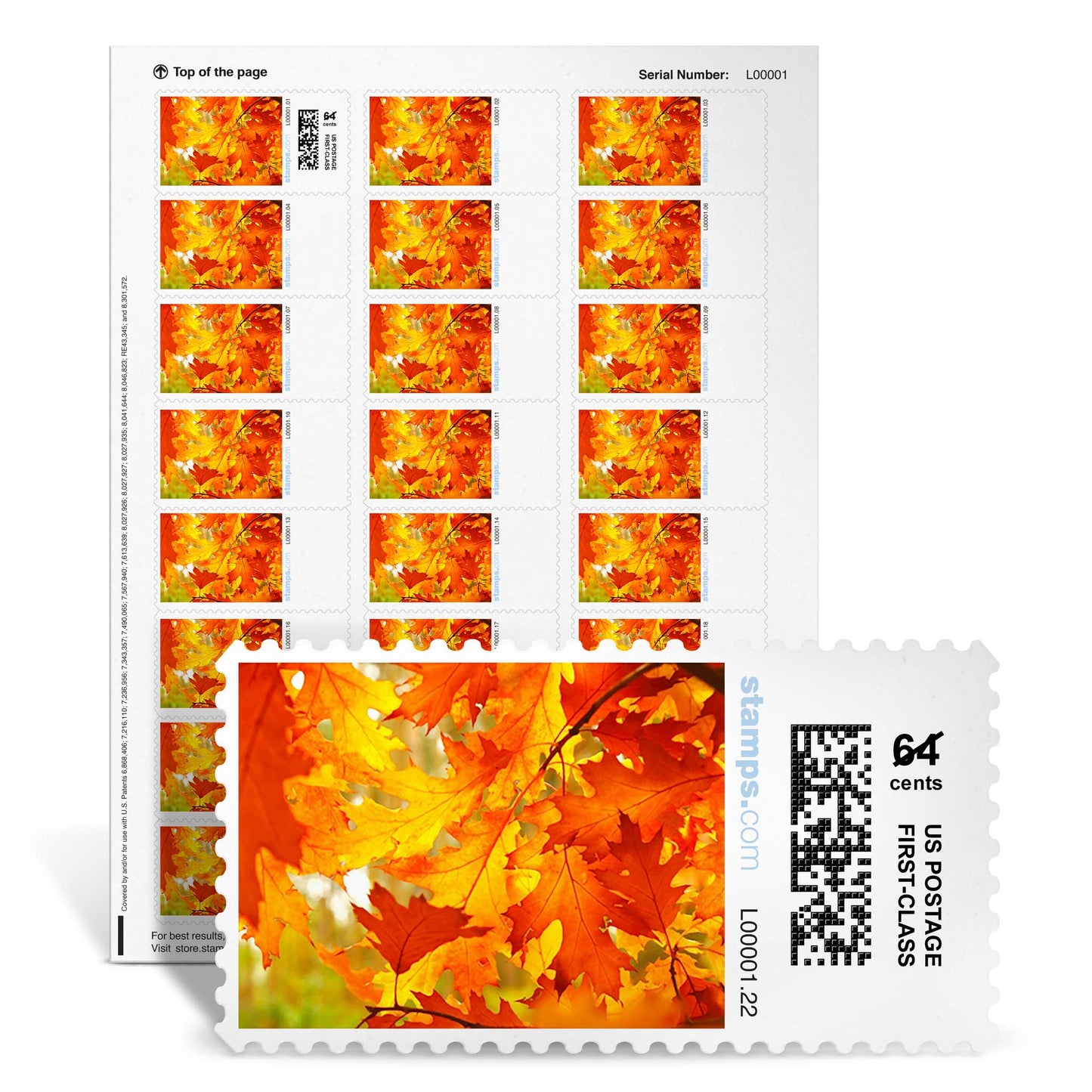Themed Netstamps