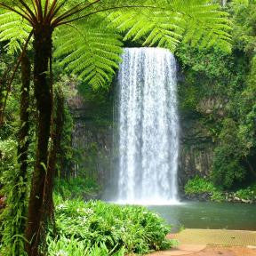 SDC-Waterfall