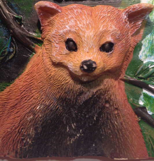 SDC-Bear